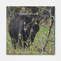 Peeking Bear; Customisable Refrigerator Magnet