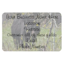 Peeking Bear; Promotional Vinyl Magnet