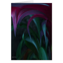 Peering through the Grass: Card