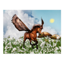 Pegasys in a Field Postcard