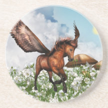 Pegasys in Field Coaster