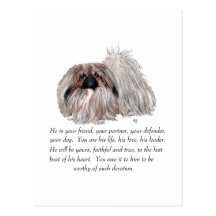 Pekingese Keepsake - MALE Postcard