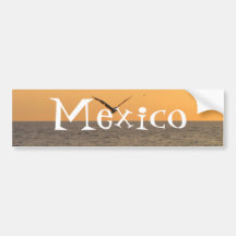 Pelican in Flight; Mexico Souvenir Bumper Sticker