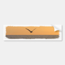 Pelican in Flight; No Greeting Bumper Sticker
