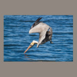 Pelican Just Before Entering the Water posters