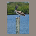Pelican on a Pole Poster posters