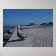 pelican print