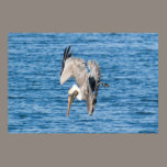 Pelican Zoning In posters