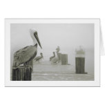 Pelicans and Shrimp boat Card