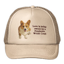 Pembroke Welsh Corgi Happy Hat