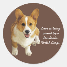 Pembroke Welsh Corgi Happy Sticker