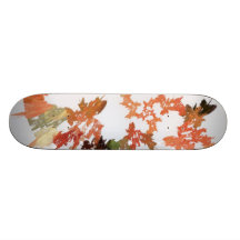 Pencil Shavings Skateboards