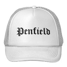 Penfield Hat