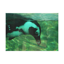 Penguin Canvas Print