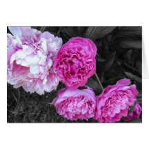Peonies Bush Greeting Card
