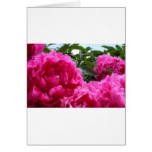 Peonies Greeting Cards