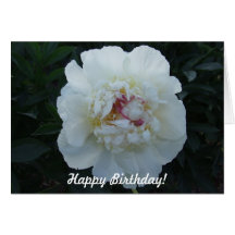 Peonies Happy Birthday Card