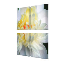 Peony Canvas Prints