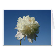 Peony in the Sky Greeting Card