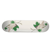Perched Custom Skateboard