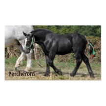 Percheron business card