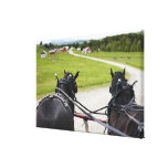 Perchon horses pulling cart  against historic gallery wrap canvas