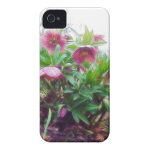 Perennial Hellebore Plants In The Garden iPhone 4 Case-Mate Case