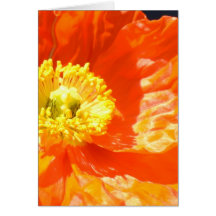 Perfectly Poppy Card