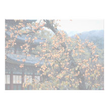 Persimmons tree, fall custom announcements