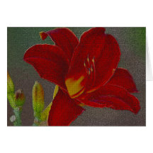 Personalised Red Lily Note Card