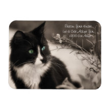 Pet Adoption Rescue Your Heart And Adopt A Cat Flexible Magnet