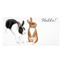 Pet Rabbits Photo Card