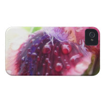 Petals - Cat's Eye Iris iPhone 4 Cover