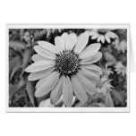 Petals of Power Note Card