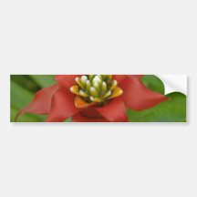 Petals Of Rubber Bumper Sticker