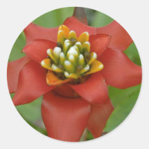 Petals Of Rubber Stickers