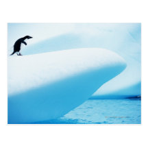 Petermann Island, Antarctica Post Card