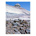 Petrified Forest - Desert National Park Postcard