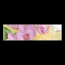 Phalaenopsis Orchid Flowers - Multi bumper stickers