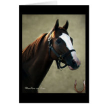 Phantom on Tour Greeting Cards