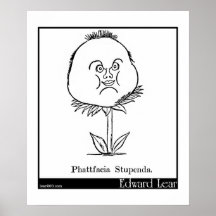 Phattfacia Stupenda. Poster