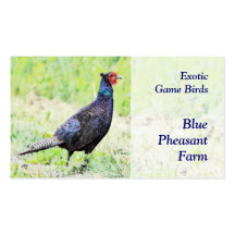Pheasant breeder business card
