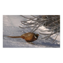 Pheasant business card