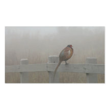 pheasant in the fog business card template