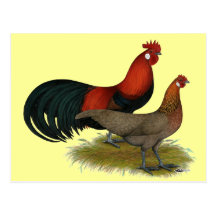 Phoenix:  BB Red Pair Postcard