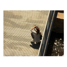 Photo of a Photographer Postcard