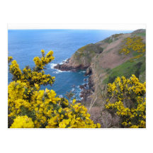 Photo Of The Coast In Jersey Postcards