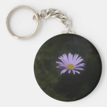 Photography pictures key chains