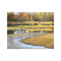 photography prints by Katina Cote Stretched Canvas Print