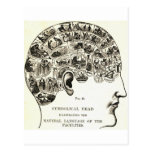 Phrenology Postcards